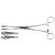 Pmd Or Grade Foerster Forceps