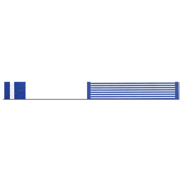 Precision Dynamics Securline Short Stay Write On Bands