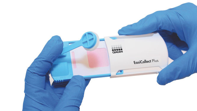 Qiagen Collection Card