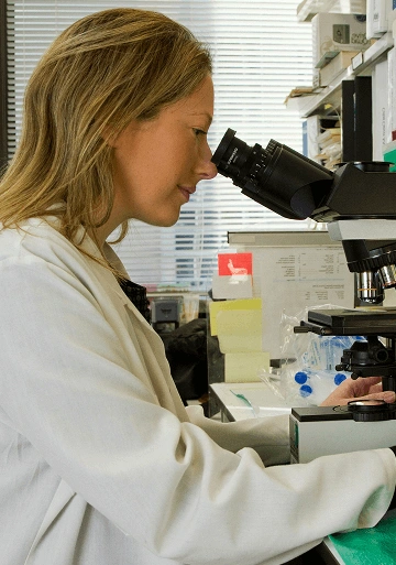 Clinical Laboratory - Medical Supplies