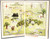 MILNE, A. A.. Winnie The Pooh. (1973 - FIRST COLOR EDITION FIRST PRINTING AND INSCRIBED BY CHRISTOPHER (ROBIN) MILNE)