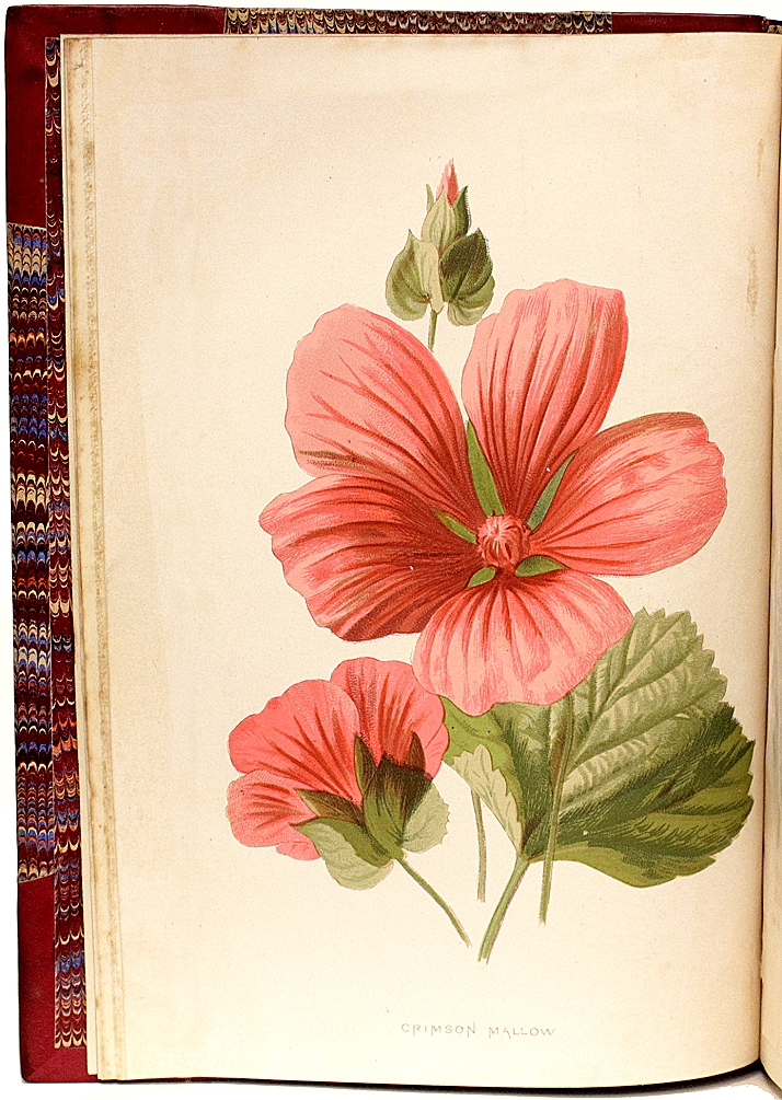 File:Print, Garden of Love, ca. 1500 (CH 18418361).jpg - Wikimedia Commons