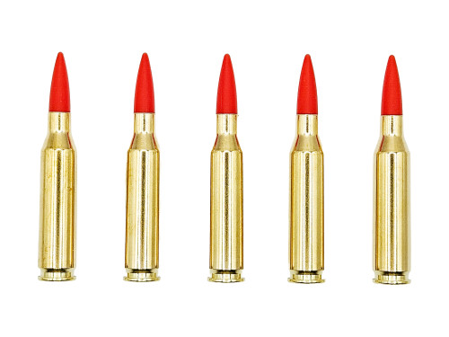 260 Remington Brass Snap caps - Dummy Training Rounds (5 pack)