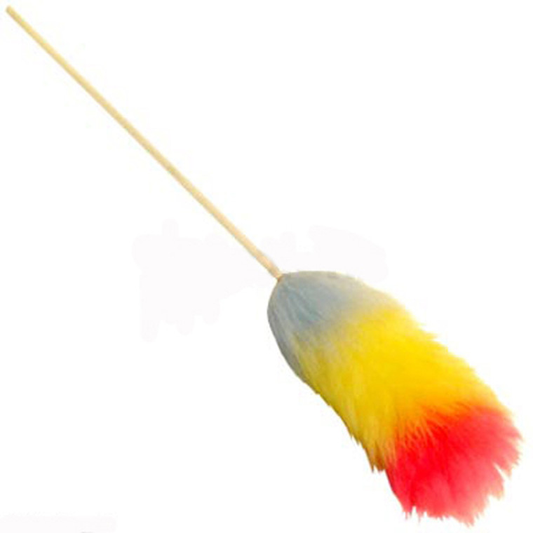 Feather Duster 24 Inch