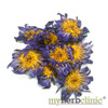 MY HERB CLINIC ® BLUE LOTUS FLOWER 50x EXTRACT POWDER ORGANIC Waterlily Nymphaea Caerulea
