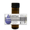 CELESTIAL ® SPIKE LAVENDER FRANCE ESSENTIAL OIL - PURE & UNDILUTED Lavandula latifolia