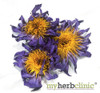 MY HERB CLINIC ® BLUE LOTUS ORGANIC WATERLILY Nymphaea Caerulea - WHOLE FLOWER