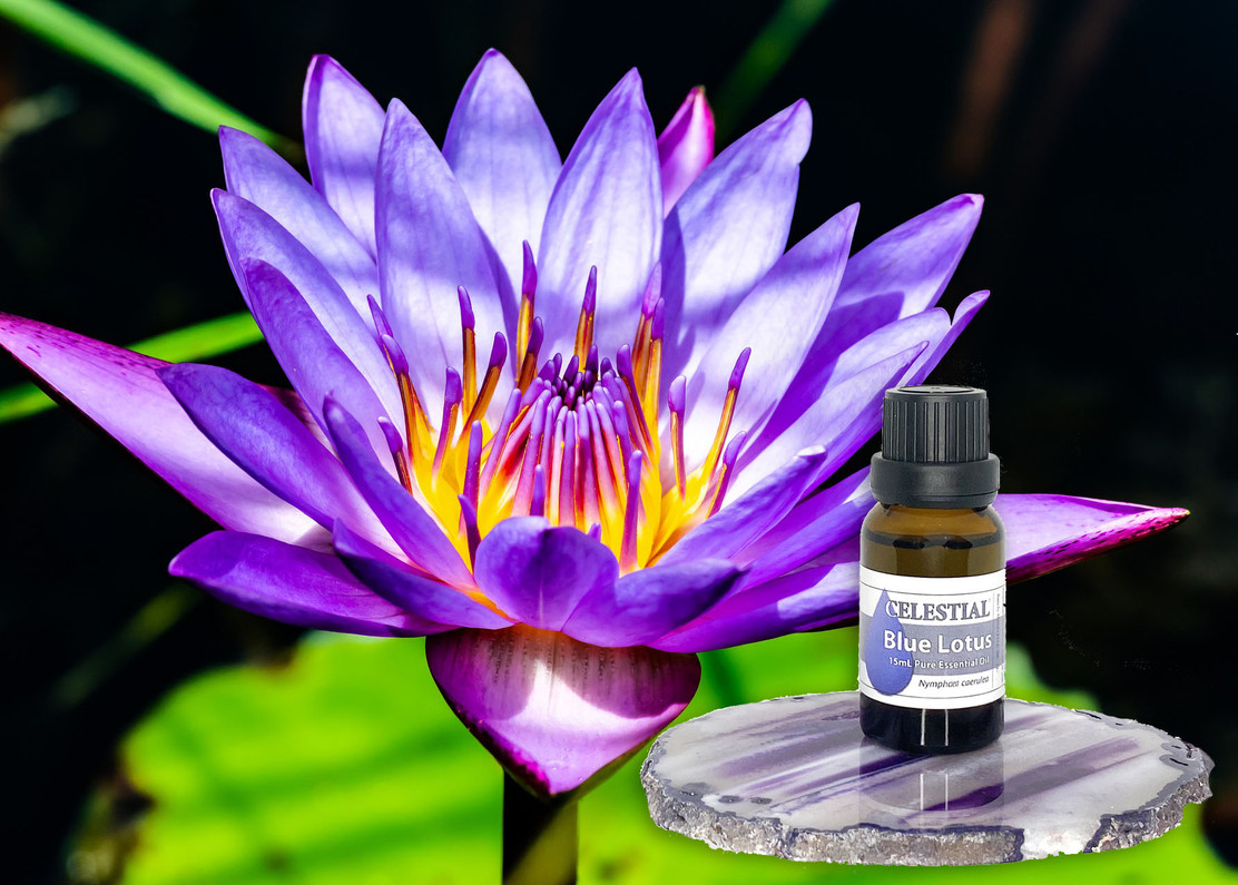 Blue lotus shop essential oil