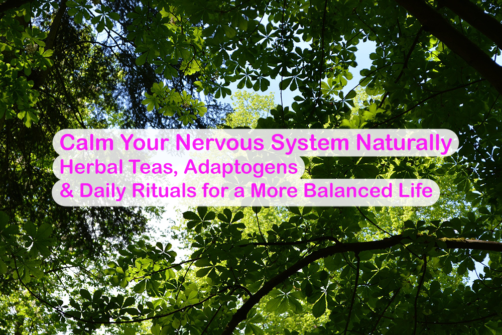 Calm Your Nervous System Naturally Herbal Teas, Adaptogens & Daily Rituals for a More Balanced Life