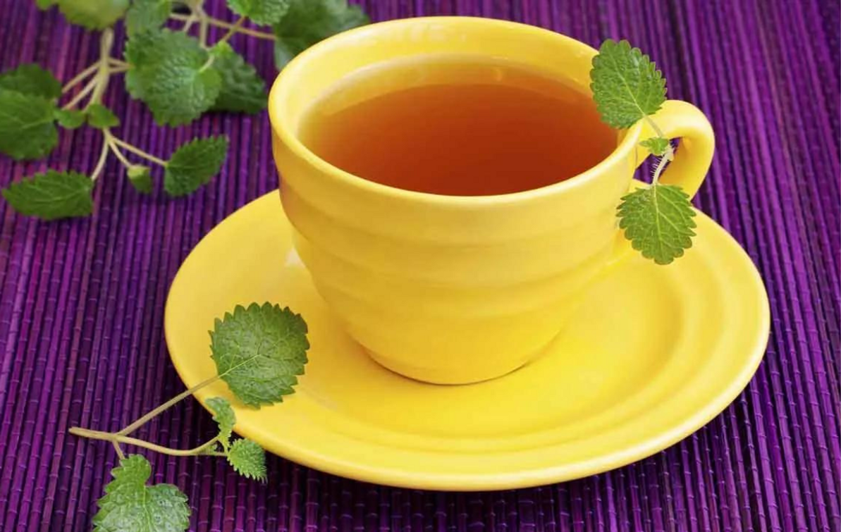 Herbal Teas for Hydration: Stay Refreshed During Workouts