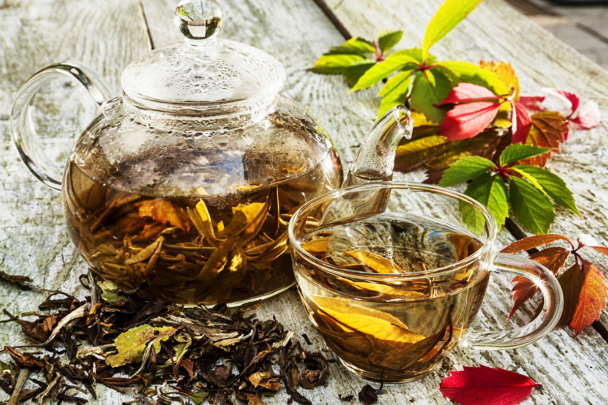 Which Herbal Teas Are Great For Weight Loss?