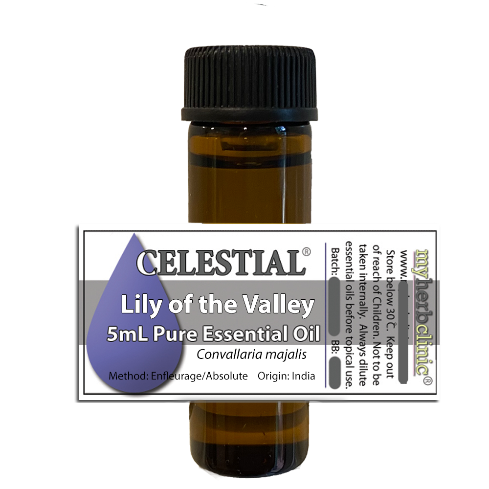 2セット モロッカンオイル シャンプー×コンディショニング