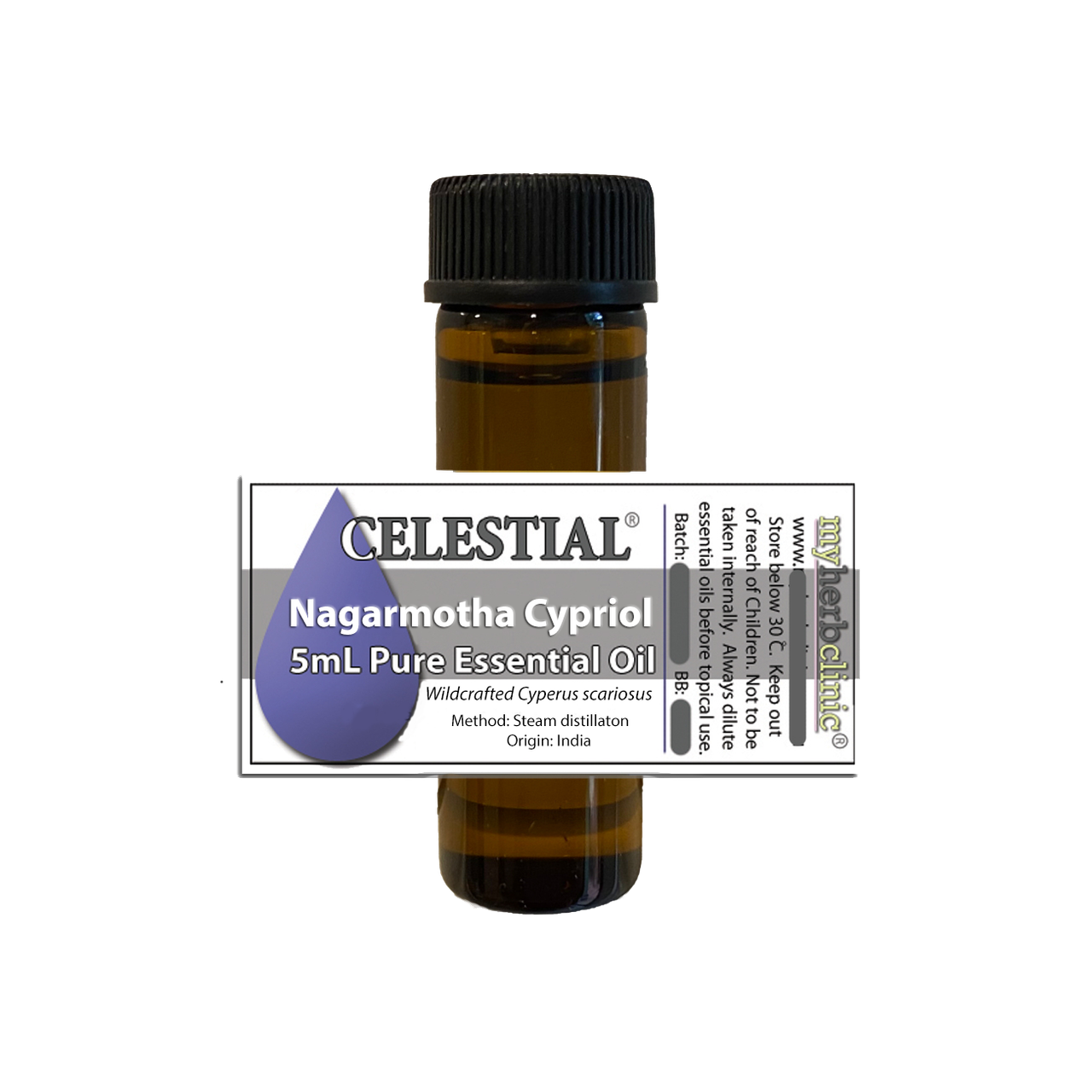 Huile Essentielle De Cypriol (Nagarmotha) - Cyperus Scariosus Bio 5 Ml - Oshadhi