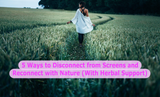 5 Ways to Disconnect from Screens and Reconnect with Nature (With Herbal Support)