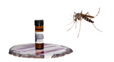 Best Essential Oils For Mosquitoes