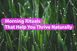 Morning Rituals That Help You Thrive Naturally