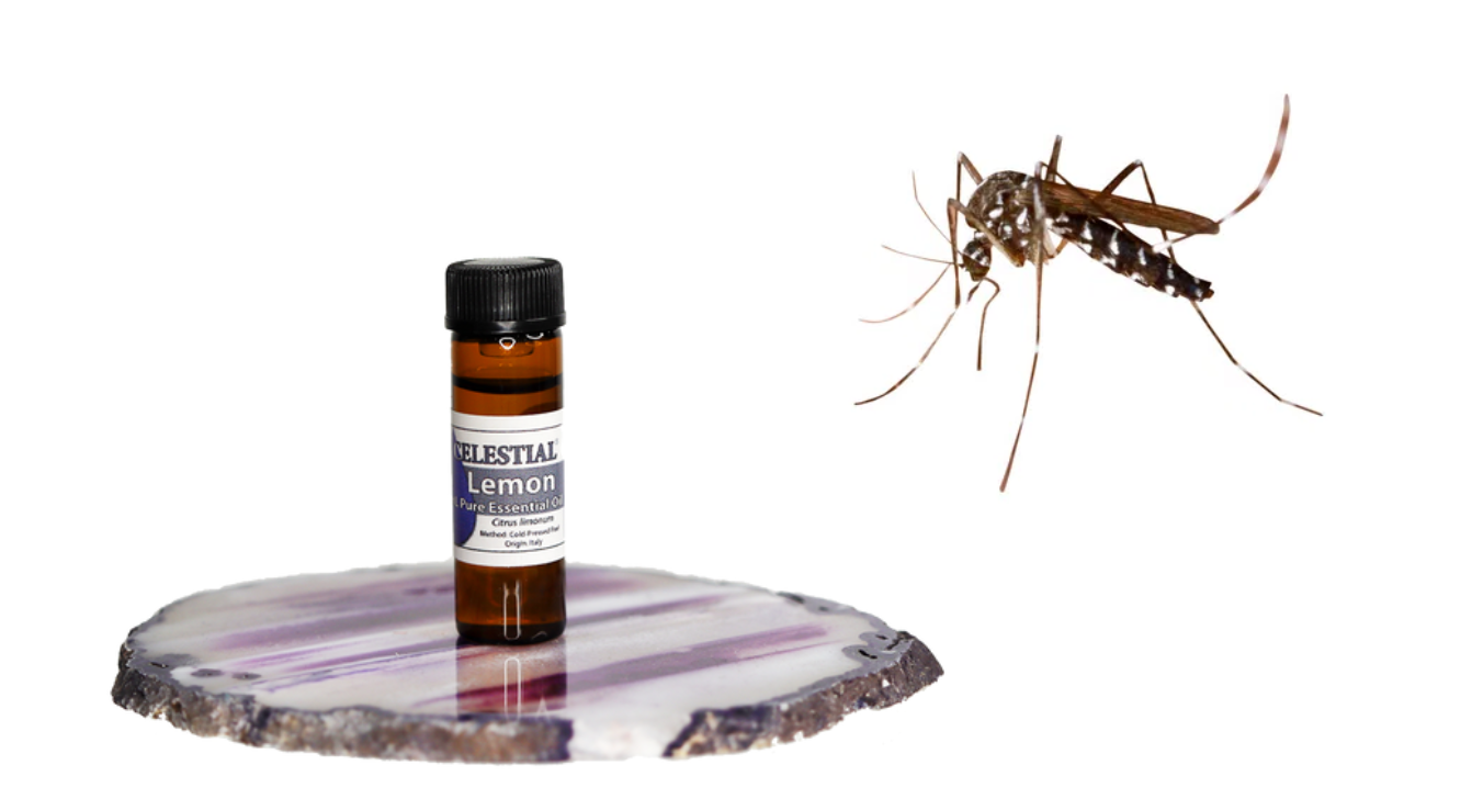 Best Essential Oils For Mosquitoes My Herb Clinic