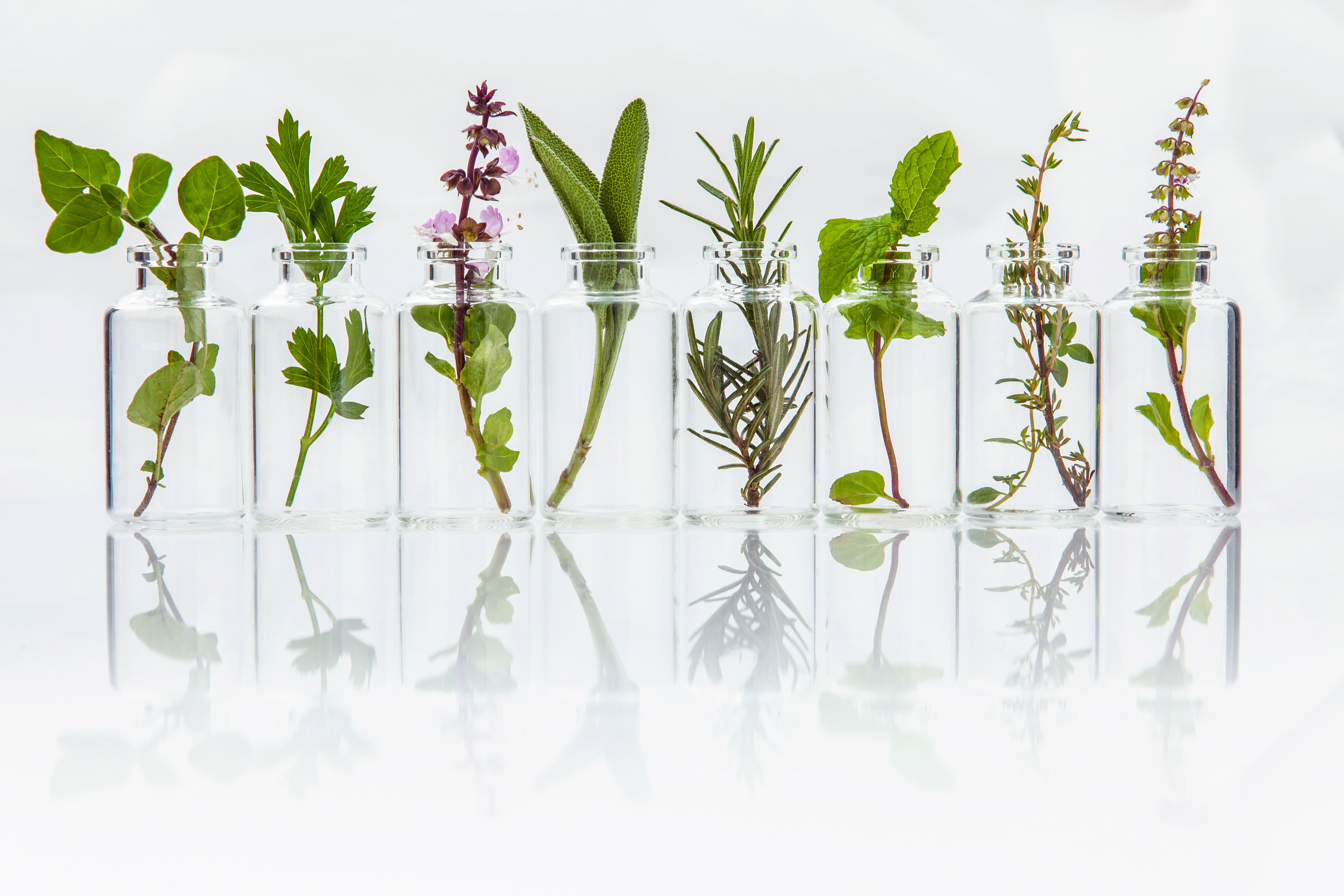 Herbal & Natural Products | My Herb Clinic
