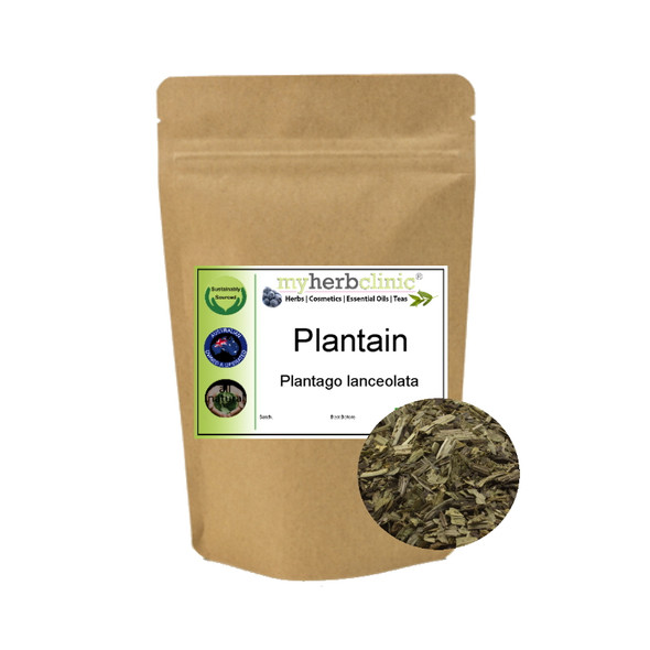 MY HERB CLINIC ® PLANTAIN - WAYBREAD - BEST QUALITY DRIED HERB Plantago lanceola