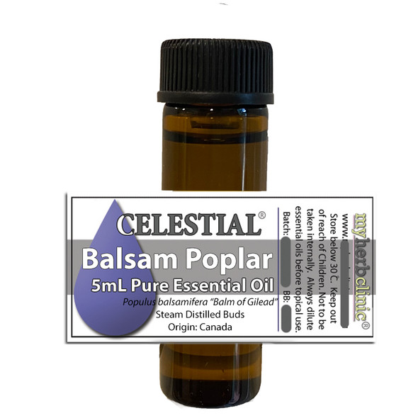 CELESTIAL ® BALSAM POPLAR - Balm of Gilead - ESSENTIAL OIL - Populus balsamifera - muscles relax