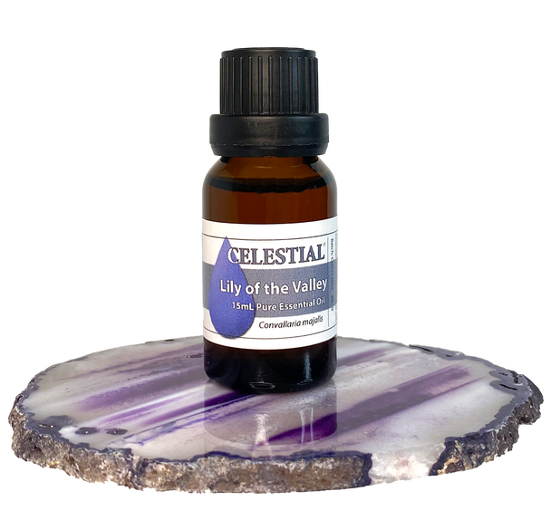 CELESTIAL ® LILY OF THE VALLEY ABSOLUTE ESSENTIAL OIL Convallaria majalis