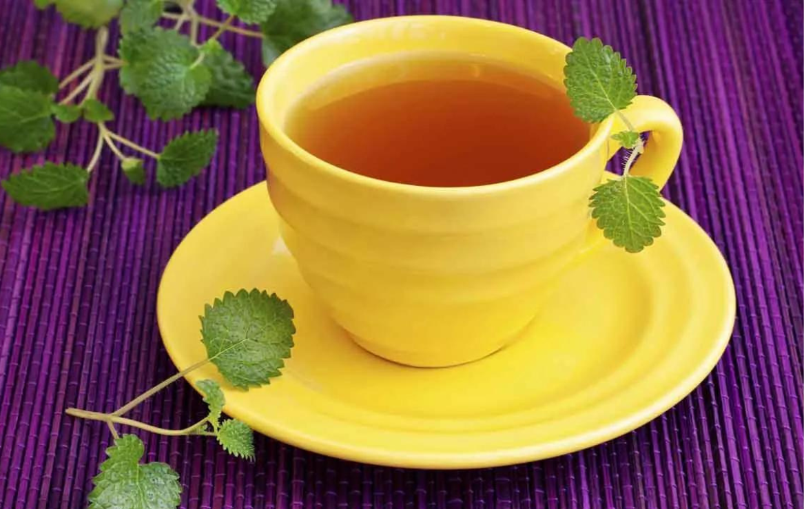 Herbal Teas for Hydration Stay Refreshed During Workouts My Herb Clinic