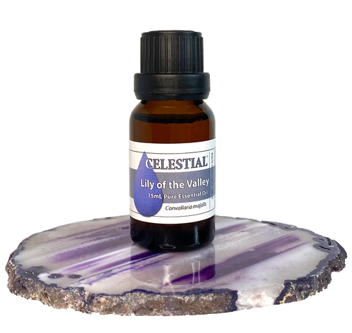 CELESTIAL ® LILY OF THE VALLEY ABSOLUTE ESSENTIAL OIL Convallaria
