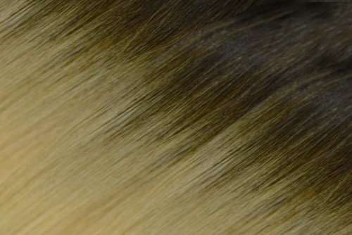 20" Ombre Tape On Hair Extensions 20 Strands 4A #6/22/613