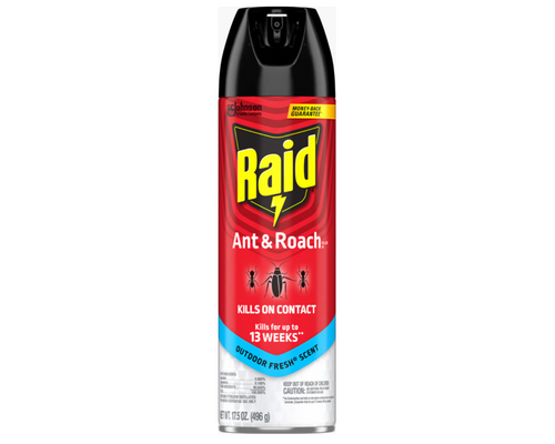 Raid Ant & Roach Outdoor Fresh Scent 496g