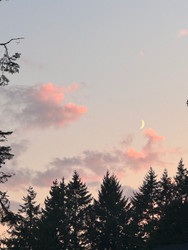 From the Earth: The First and Longest Skincare or: How I Learned To Stop Worrying and Love the Plant