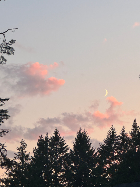 From the Earth: The First and Longest Skincare or: How I Learned To Stop Worrying and Love the Plant