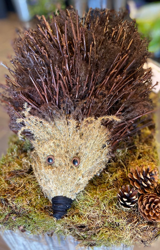 Hedgehog