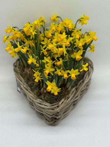 Whicker Heart Spring Planter