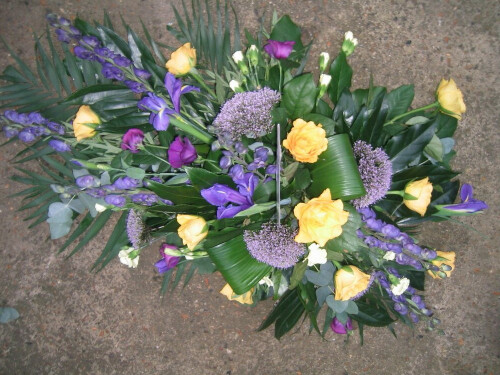 purple and yellow Single ended Spray