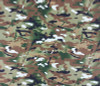 Camouflage, Khaki: Cotton Woven Poplin