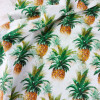 Pineapples:  Jersey Knit, Stenzo