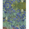 Irises: Panel Digital Brushed French Terry, European Import  (approximately 200 cm)