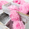 Rosette, Pink: Tulle Lace Trimming