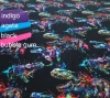 Wild Dinosaurs:  Sweatshirt, European Import