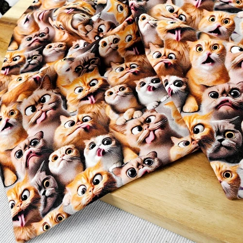 Crazy Cat:  Jersey Knit, European Import