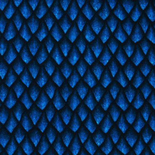 Dragon Scales, Blue:  Sweatshirt, European Import