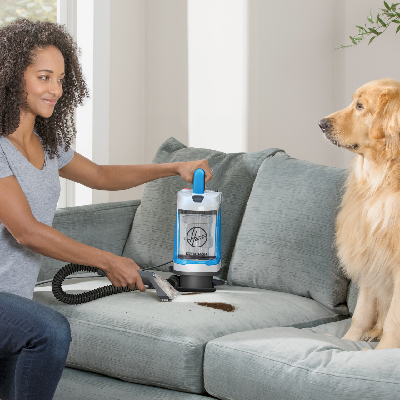 Pet Portable Spot Cleaner