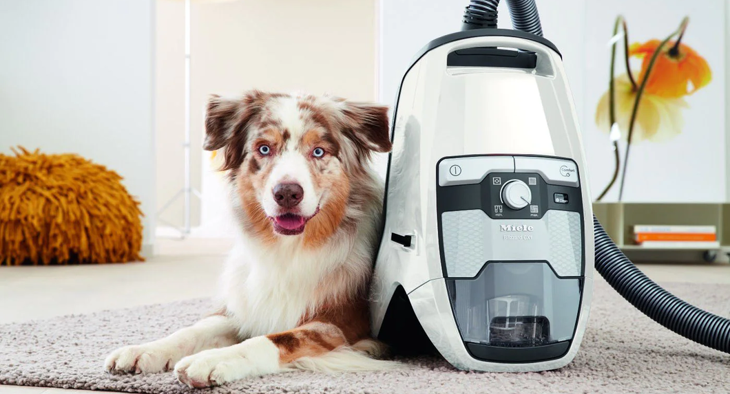 Miele Titan Classic C1 Canister Vacuum Cleaner - More Than Vacuums