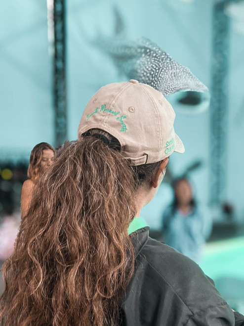Secret Mermaid Society hat