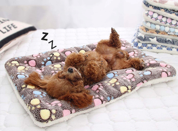 Dog bed polyester cotton 110*75cm Ulese per kafshe shtepiake