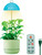 LED Grow Light plant