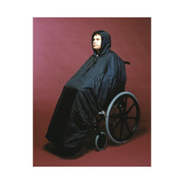 Wheelchair Mac