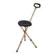 Folding Walking Stick with Seat Image 1