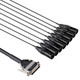 HOSA EDGE DBM501 DB25 TO NEUTRIK XLRM SNAKE 1M
