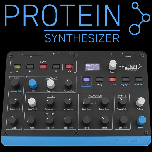 NEW Waldorf Protein Synth
